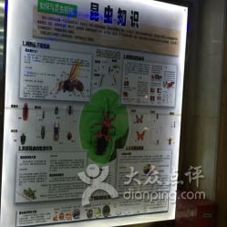 交通指南——怎么去？随便啦！