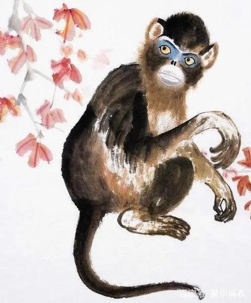 属猴人：逆袭翻身， 财运旺到爆棚