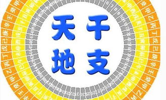 木：寅与卯