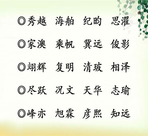 传统寓意，结合家族特色（这可是老祖宗留下来的秘密…）