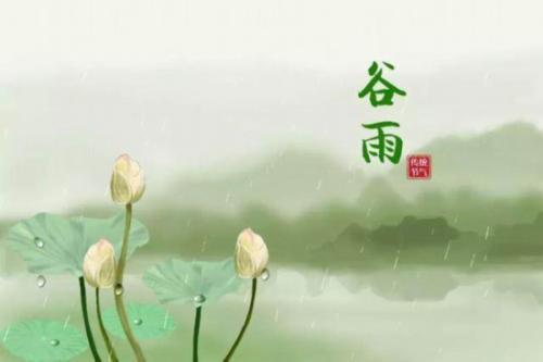 谷雨节气的名字魅力：这不只是个天气，这是命！