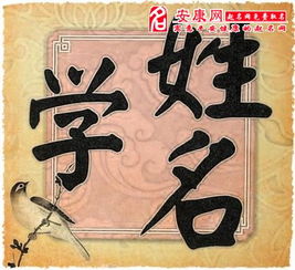 姓名和命运的起点——谁先来？