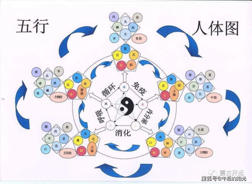 2026年的黄历与天气预报给我们哪些提示？