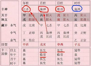 支藏关系也很十分沉关键