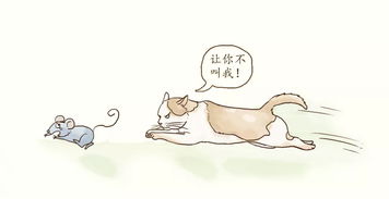 属兔的温柔体贴