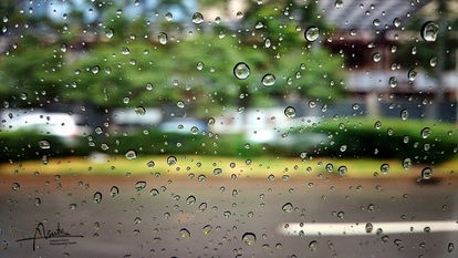 细雨晨曦：一个充满诗意的名字