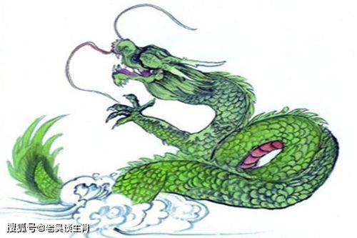事业运势：龙的盘中升腾