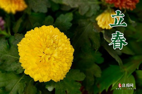 祈祷拜神