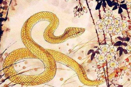 属蛇的朋友们：感情的转折点