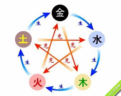 再看看各个生肖的运势