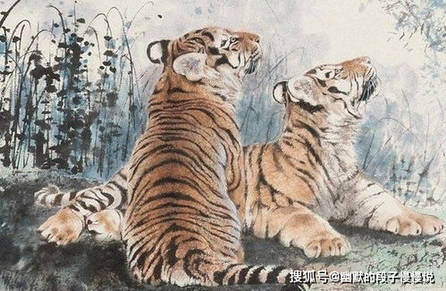 其他搭配