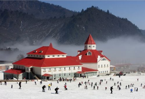 说实话，我当时脑子抽了才去西岭雪山
