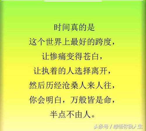情绪管理：从冲动到理智