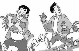 偷鸡到底是啥？