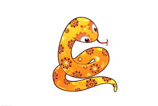 1.1 生肖特征——蛇