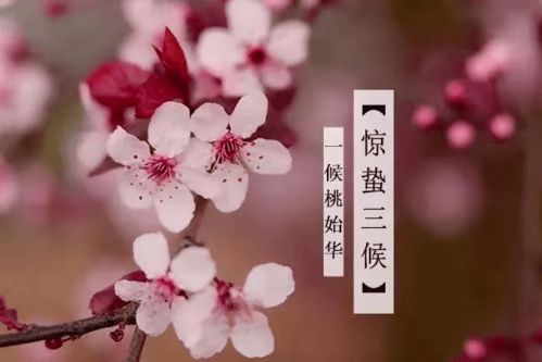 惊蛰时节的风水寓意