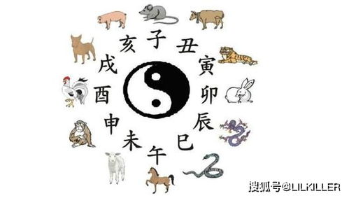 哪些年份运势最佳？