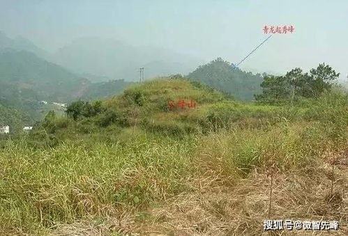 先说前面那块明堂
