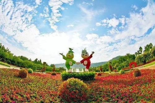1. 官方渠道购票，有时候真的有惊喜