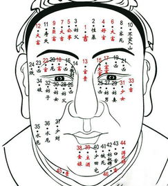 鼻子上有痣，到底是福是祸？