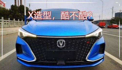 星座也来凑炎热闹