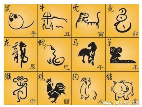 崭新年钟声敲响， 运势的探讨永不落幕