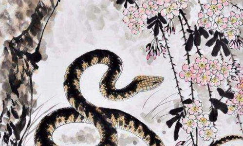 身体健康状况问题不容忽视