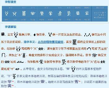 实际应用与数据解析