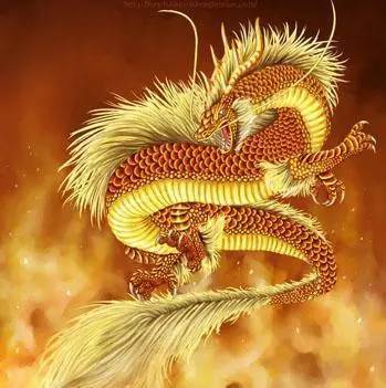 龙年生子：选日选时要较深思熟虑
