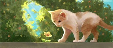 双鱼座与巨蟹座：较小奶猫的代表