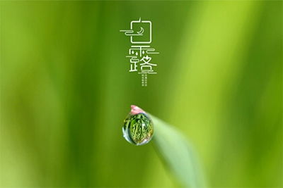 一日之中哪段时间段最合适