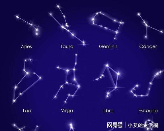生肖星座与网络公司命名：独特的文化底蕴融合之道