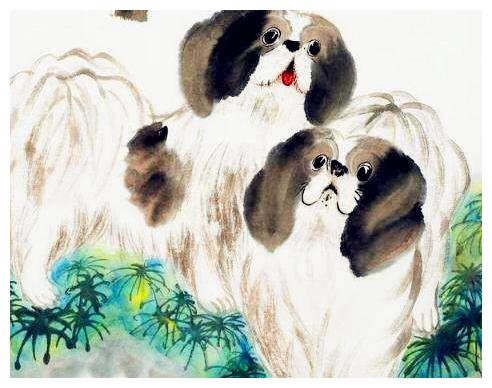 狗——忠诚的伴侣与命运相连