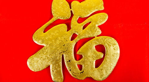 合不合？先从阴阳说起