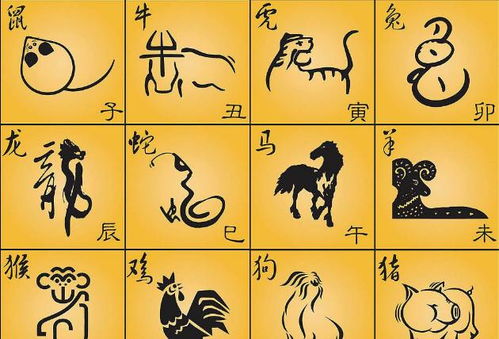 生辰八字的奥秘