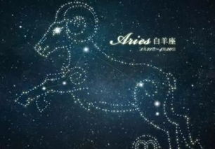 看看他们的幸运手册
