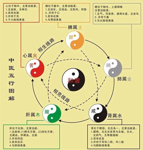 五行相生相克也能帮你看桃花运