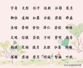 先来点感觉——为什么偏爱“华”