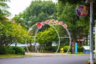 一、 城区公园：绿意盎然的免费天堂