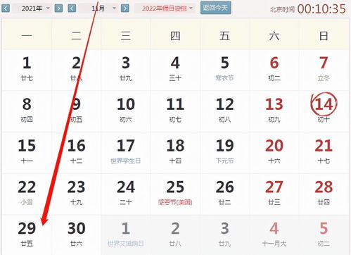 属鼠的朋友们：职场与书本的双沉重奏