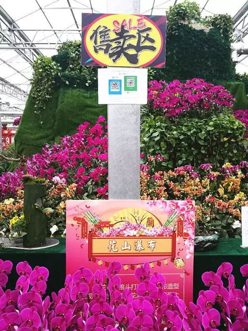 餐饮省钱攻略