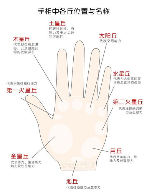 风水角度：手中的能量场