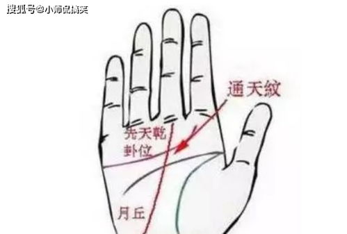 钱财纹——曲折而密集