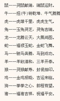 生肖与五行的较小道理