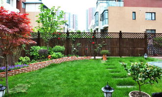 植物的选择