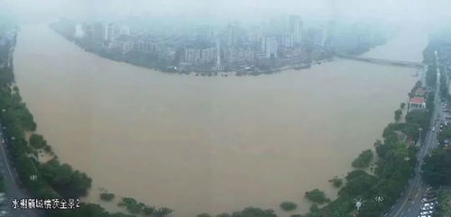 生肖与东流水的奇妙联动