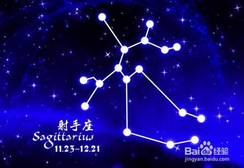 今后展望