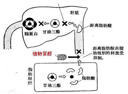 意：寓意与生活实际相互映射