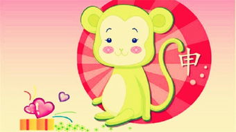 猴 + 蛇：机智+智慧的黄金搭档