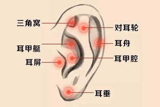 老人们的说法：缺了啥就不良好